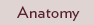Anatomy